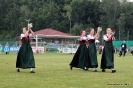 Marschwertung 2015 Bezirk Kirchdorf